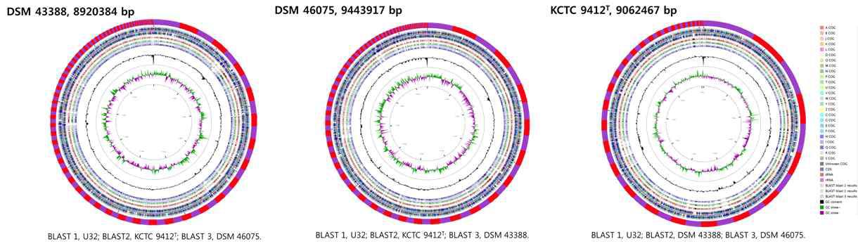 genome pseudomolecule의 circular representation.