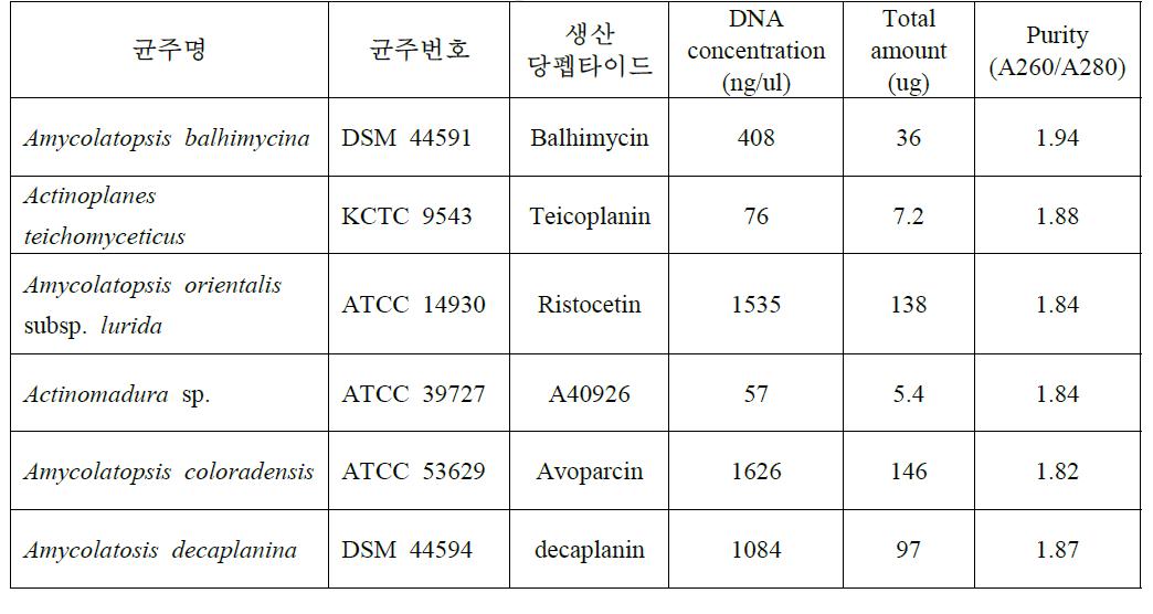 당펩타이드 항생물질 생산 방선균과 genomic DNA 정제.