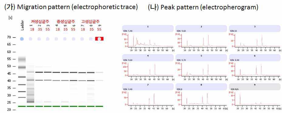 Total RNA quality control.