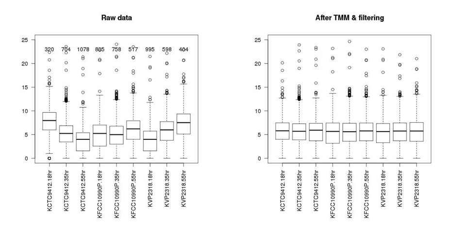CLC Genomics Workbench를 이용한 전사체 9건의 대한 RNA-Seq read count의 분포.