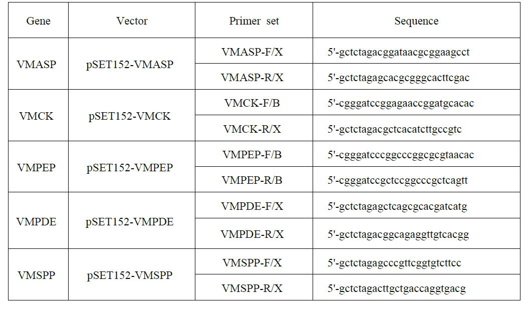 대사관련 유전자 과발현을 위한 유전자 증폭용 primer set