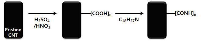 CNT의 표면처리 공정.