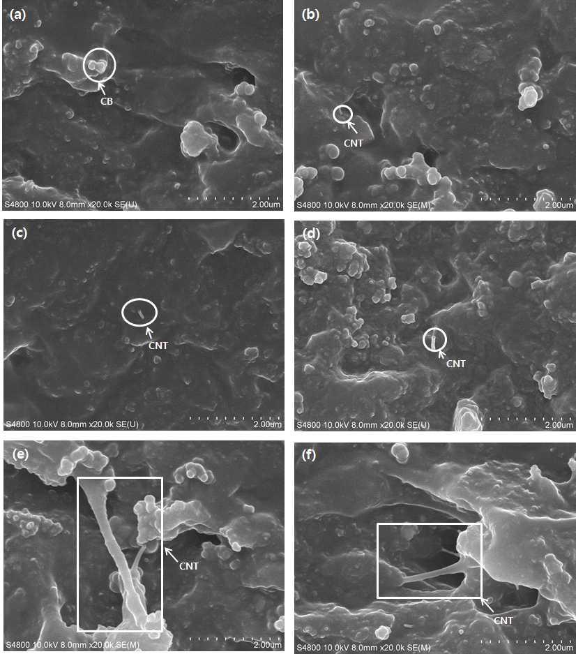 CNT의 함량 변화에 따른 FE-SEM 사진 : (a) CNT 0 phr, (b) CNT 0.1 phr, (c) CNT 0.2 phr, (d) CNT 0.4 phr, (e) CNT 0.6 phr 및 (f) CNT 1.0 phr