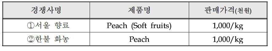 국내․ 외 주요시장 경쟁사