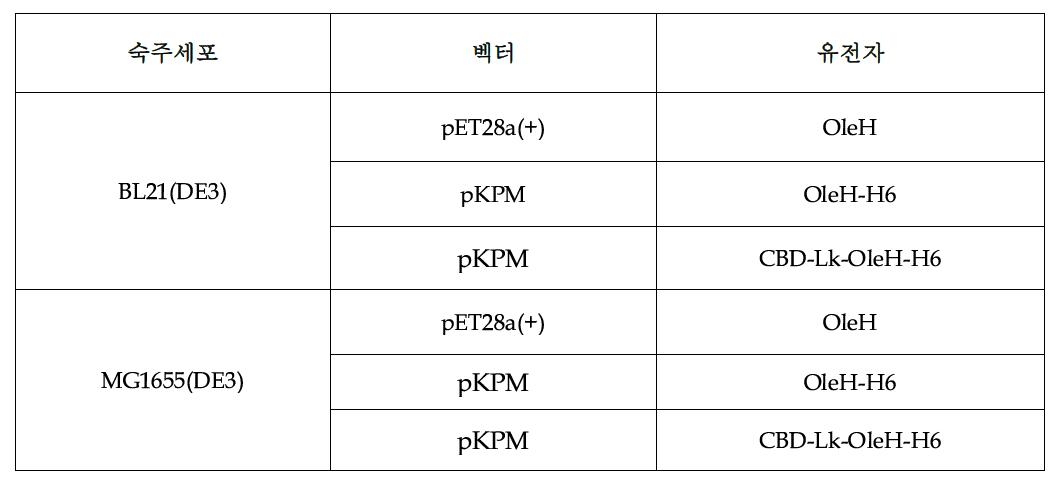 균주 개발에 사용한 균주의 조성