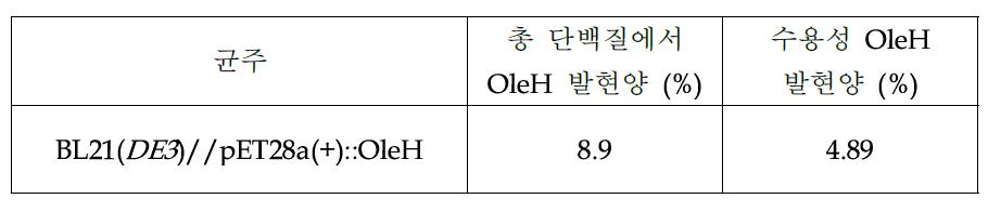 회분식 배양의 세포 농도와 올레산 수화효소의 농도