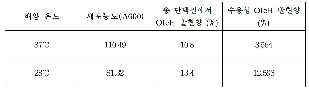 배양온도에 따른 세포 농도와 올레산 수화효소의 농도