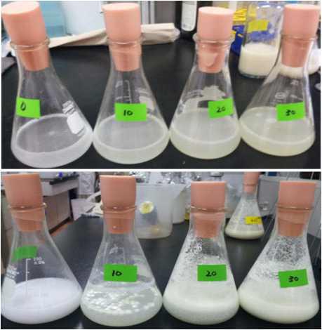 Crude enzyme solution을 사용한 10-HSA 전환