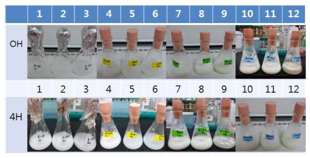 Crude enzyme solution을 사용한 10-HSA전환 실험