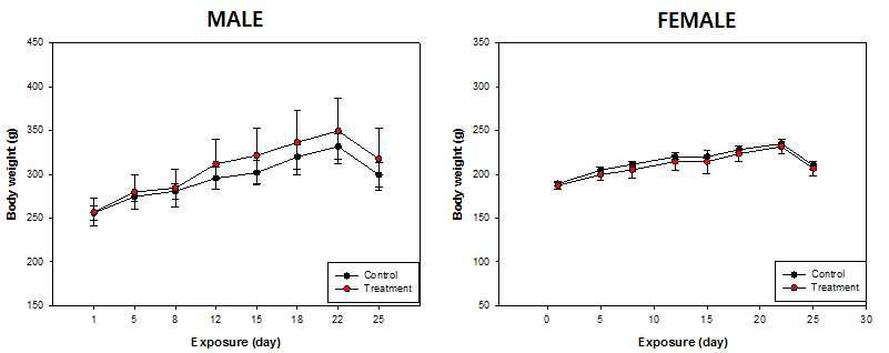 노출기간 중 동물의 체중변화