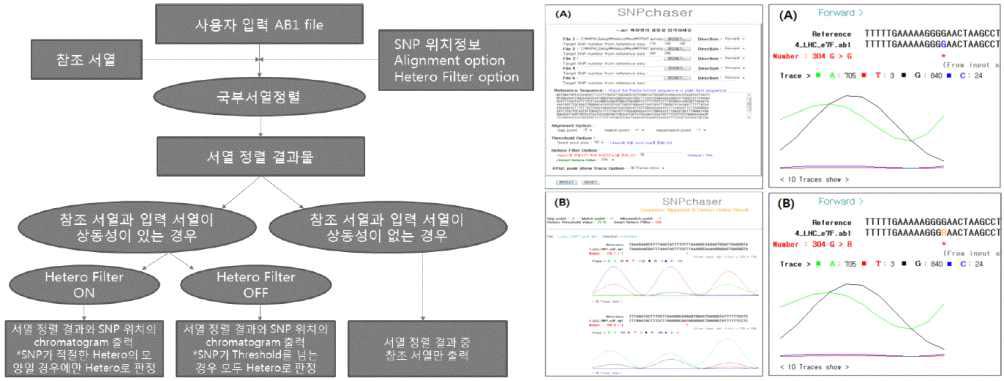 SNPs 서열 분석 엔진의 데이터 흐름 및 프로세스와 시각화 참조 모델