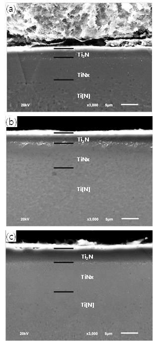 SEM micrographs of the cross-sectioned hardening layer under various holding times for; (a) 0.5 hr, (b) 1 hr, (c) 2 hrs.