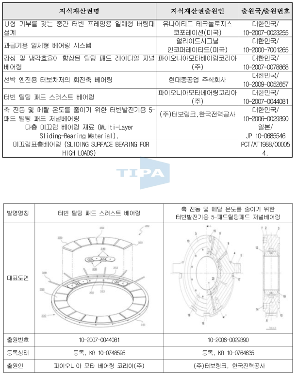 국내외 관련지식재산권 현황