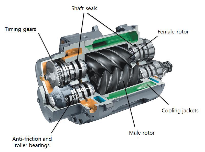 Cross section view of the screw compressor