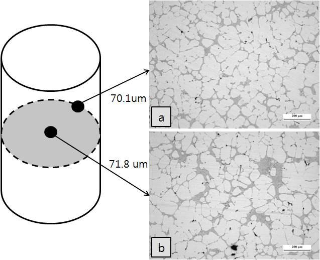탄산가스주형에 주입된 355.0 알루미늄 합금 봉상시편 (미세화제 첨가, AT15B 합금)의 위치에 따른 미세조직의 비교 (a) 시편 표면부의 SDA=70.1 um, (b) 시편 중심부의 SDA=71.8 um [SDA=Secondary Dendrite Arm Spacing]