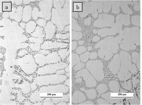 Al-5%Si 합금의 (a) 미세화제 첨가 전 및 (b) 미세화제 첨가 후의 미세조직