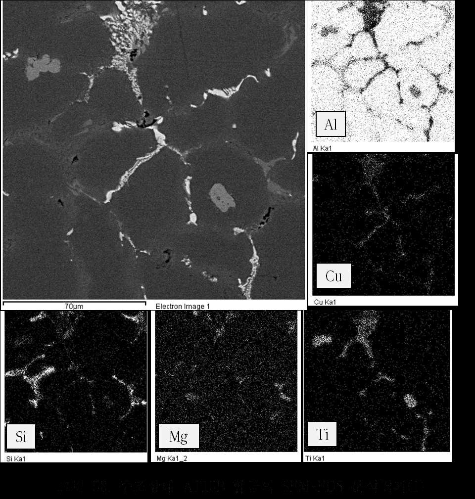 주조상태 AT15B 합금의 SEM-EDS 분석결과(1)