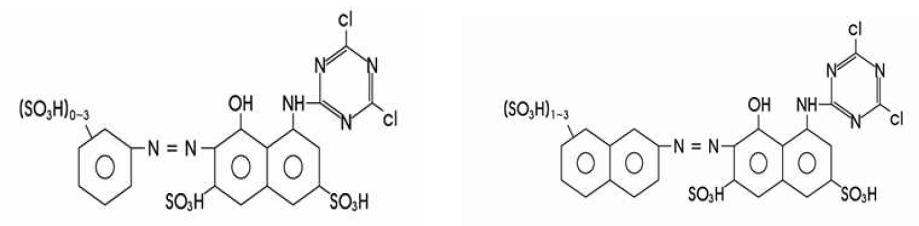 DiChlorotriazine Type 반응성 염료의 구조