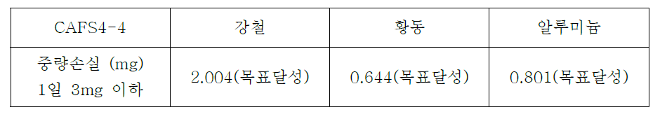 내부식성 자체 테스트 결과