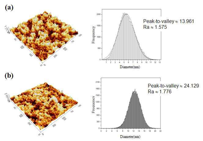 PET기판 상에 증착된 Ag 박막의 표면 SEM 및 AFM사진