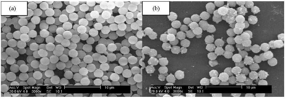 SEM images of silica microspheres (a) and magnetite-loaded product (b)
