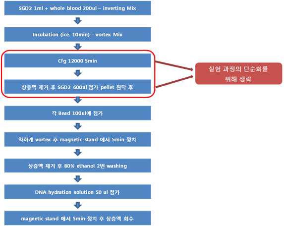 전혈에서의 핵산 결합 실험 과정