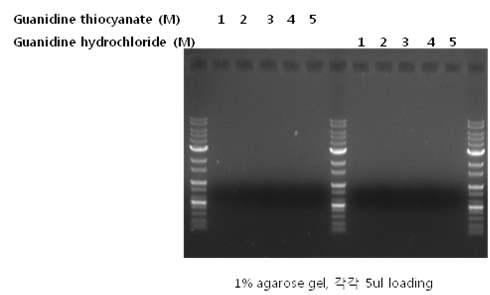 Chaotropic reagent 농도별 실험 결과