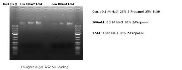 Agarose gel 전기영동으로 분석한 30% Isopropanol과 염농도에 따른 washing 효율