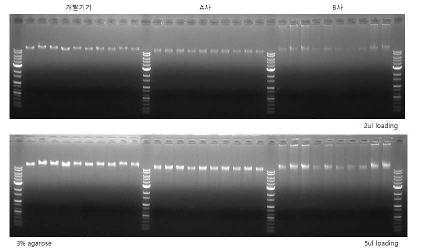 전기영동을 통한 각 사의 추출 효율 비교