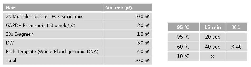 Real-time qPCR 반응 조건과 반응 시간