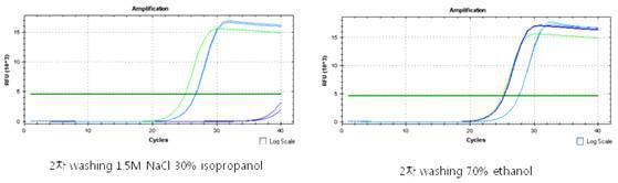 2차 washing 과정을 1.5M NaCl, 30% isopropanol로 진행한 gDNA와 70% ethanol 로 진행하여 추출한 gDNA를 원액과 1/8로 희석하여 real-time qPCR을 진행한 결과