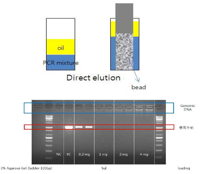 Direct elution 개념도(위) 및 실험 결과 전기 영동 사진(아래)