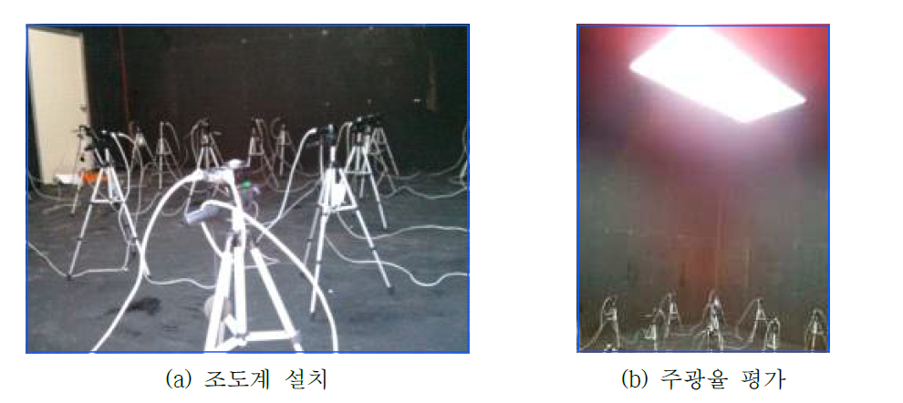 측정사진