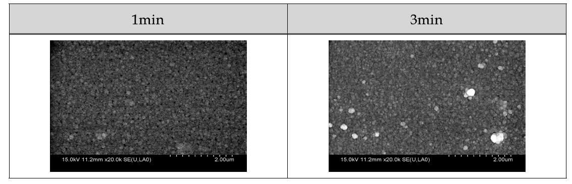 Ni-P plating Film surface FE-SEM 조직 관찰