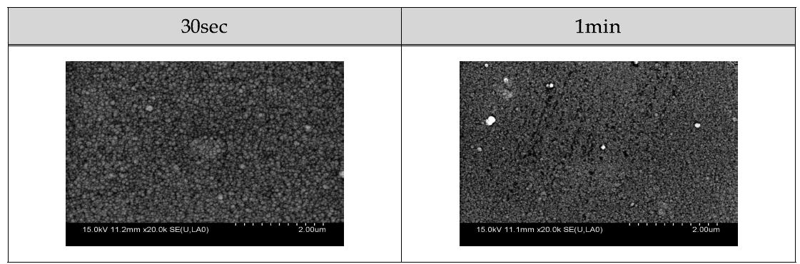 Ni-B plating Film surface FE-SEM 조직 관찰