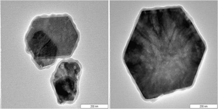 조건(a)로 합성한 Silica가 코팅된 ZnO plate의 TEM 사진