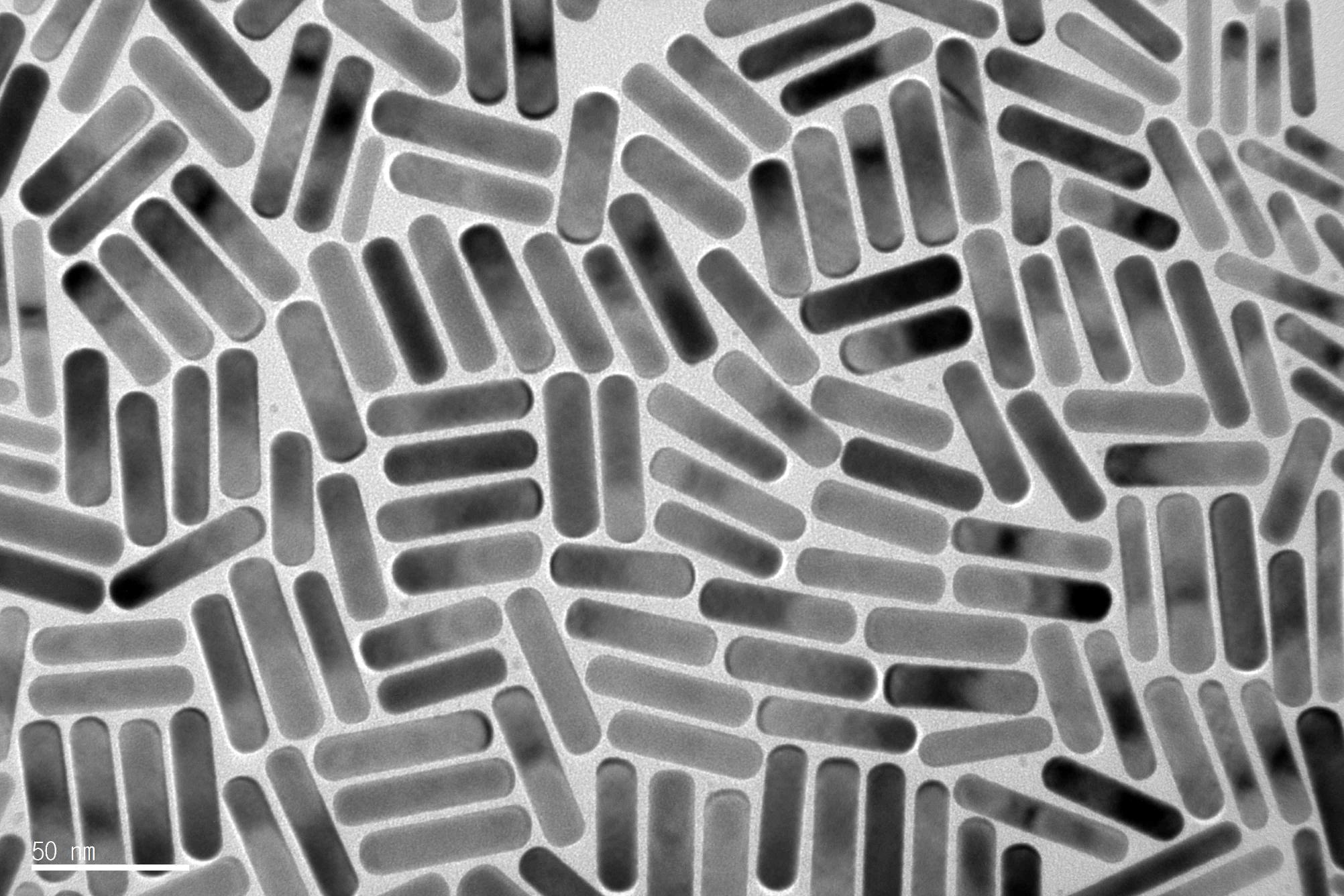 λ = 700nm의 흡수파장을 갖는 Au nanorod의 TEM 이미지