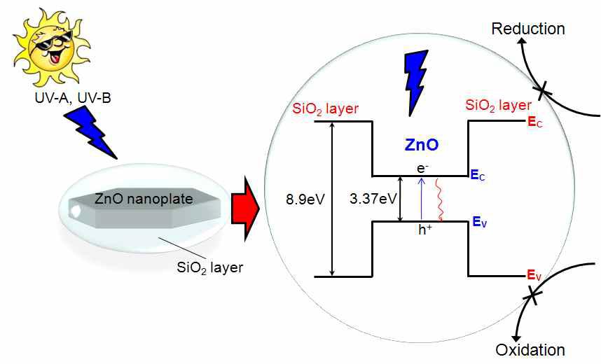 ZnO plate@SiO2 나노입자의 광촉매 특성 감소효과에 대한 모식도