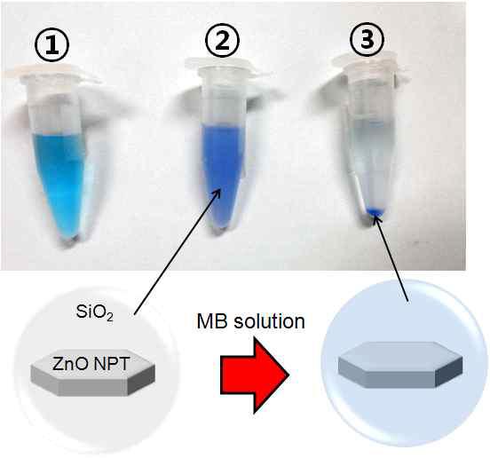 ① MB 용액 (20μM), ② MB 용액 (20μM) + ZnO plate@SiO2 나노입자 (4.9 mM) 용액, 및 원심분리 후 MB + ZnO plate@SiO2 나노입자 용액의 사진