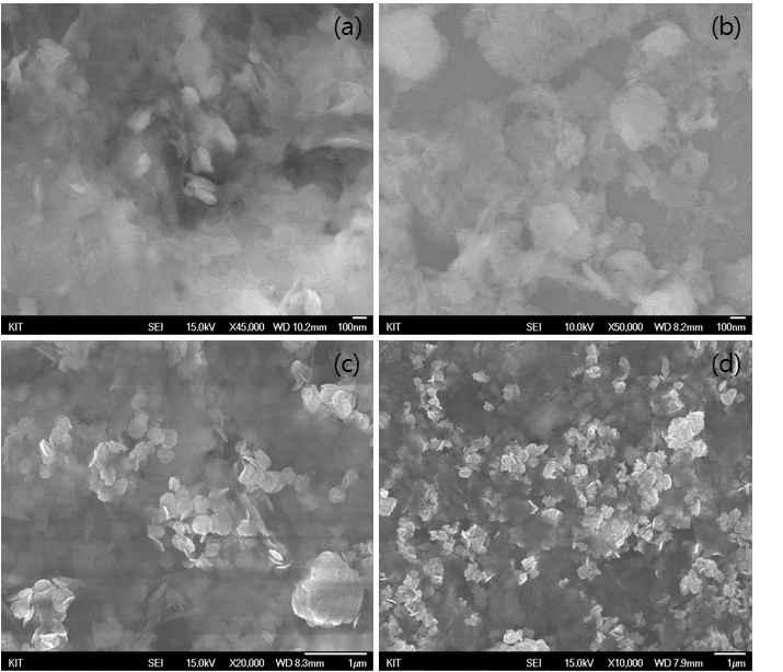 실험 조건에 따라 합성한 ZnO plate의 SEM 사진