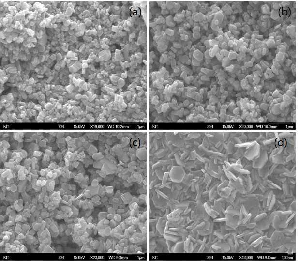 실험 조건에 따라 합성한 ZnO plate의 SEM 사진