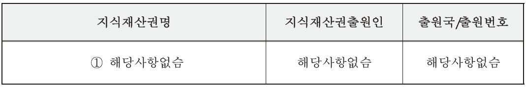 국내외 관련지식재산권 현황