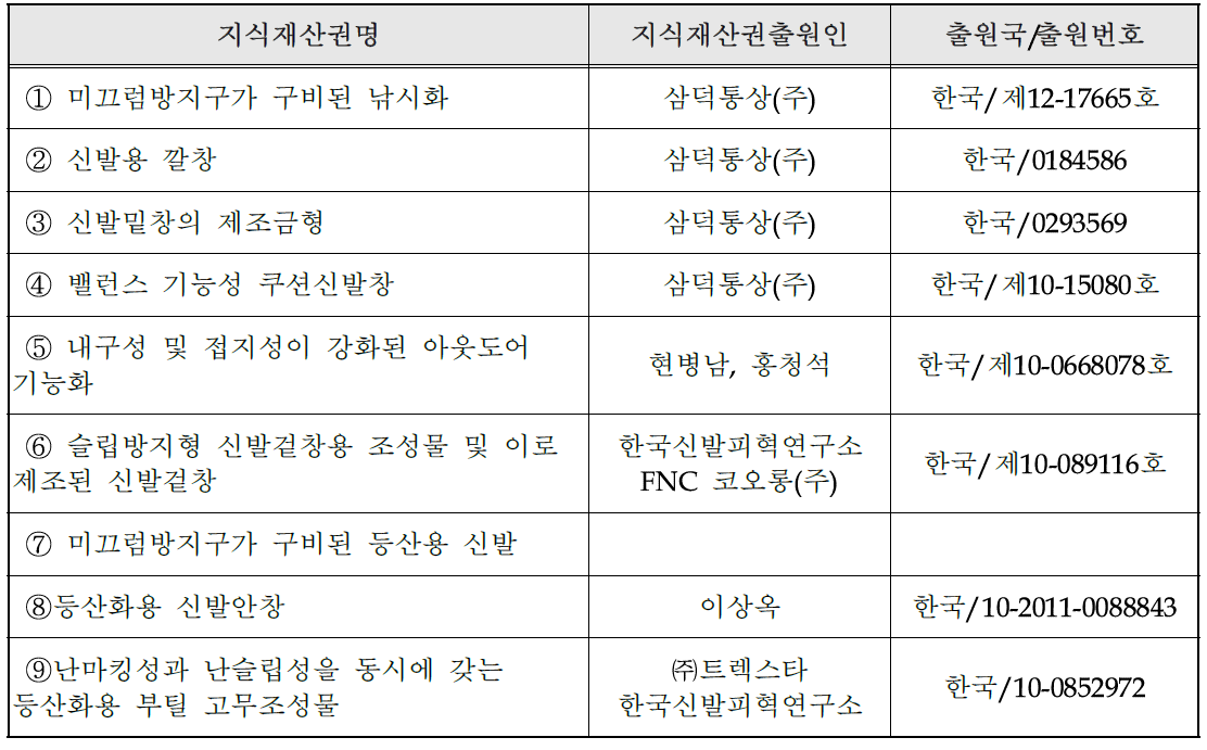 국내외 관련지식재산권 현황