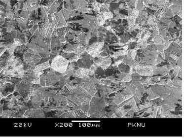 SEM image of the microstructure of the raw material (×200)