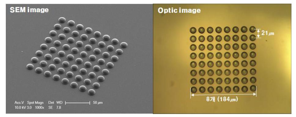 SEM images and Optical image of 8 X 8 micro lens array.