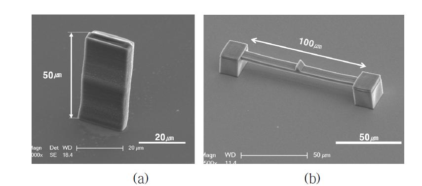 SEM images of (a) fabricated high aspect ratio structure and (b) simple beam structure using HSCR resin.