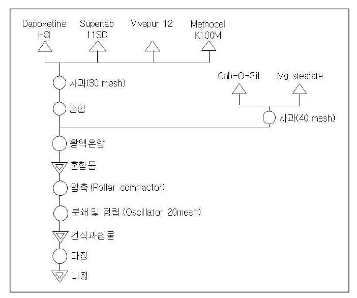 건식과립을 이용한 제조공정도