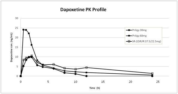 dapoxetine 속방/서방층 비율에 따른 비글견 PK 실험결과