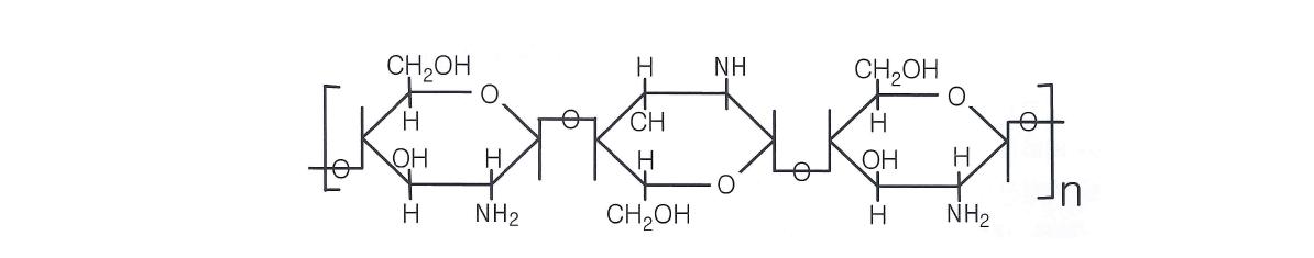 파 키토산의 분자구조