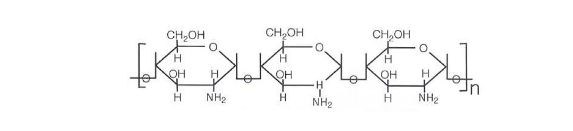 타 키토산의 분자구조
